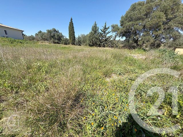 terrain à vendre - 710.0 m2 - CAZOULS LES BEZIERS - 34 - LANGUEDOC-ROUSSILLON - Century 21 Comminges Immobilier