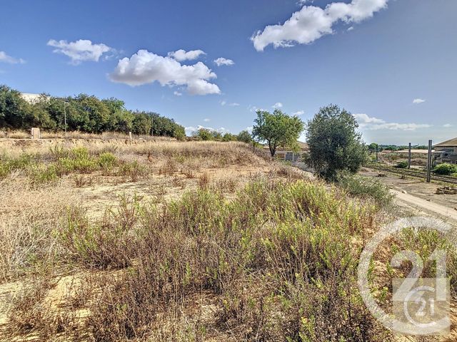 terrain - VILLENEUVE LES BEZIERS - 34