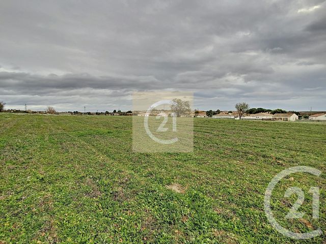 terrain à vendre - 442.0 m2 - ESPONDEILHAN - 34 - LANGUEDOC-ROUSSILLON - Century 21 Comminges Immobilier