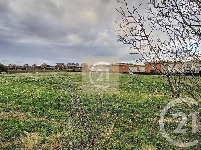 terrain à vendre - 442.0 m2 - ESPONDEILHAN - 34 - LANGUEDOC-ROUSSILLON - Century 21 Comminges Immobilier