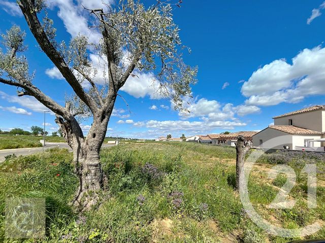 terrain à vendre - 509.0 m2 - ESPONDEILHAN - 34 - LANGUEDOC-ROUSSILLON - Century 21 Comminges Immobilier