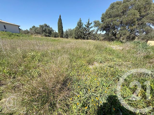 terrain à vendre - 426.0 m2 - CAZOULS LES BEZIERS - 34 - LANGUEDOC-ROUSSILLON - Century 21 Comminges Immobilier