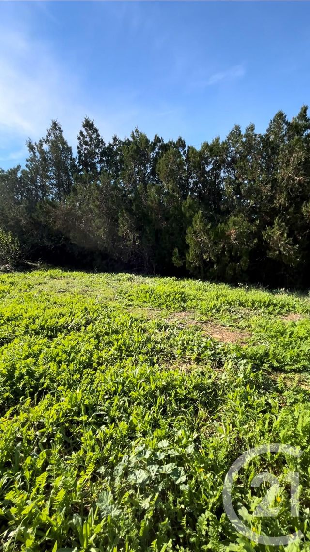 terrain à vendre - 568.0 m2 - BEZIERS - 34 - LANGUEDOC-ROUSSILLON - Century 21 Comminges Immobilier