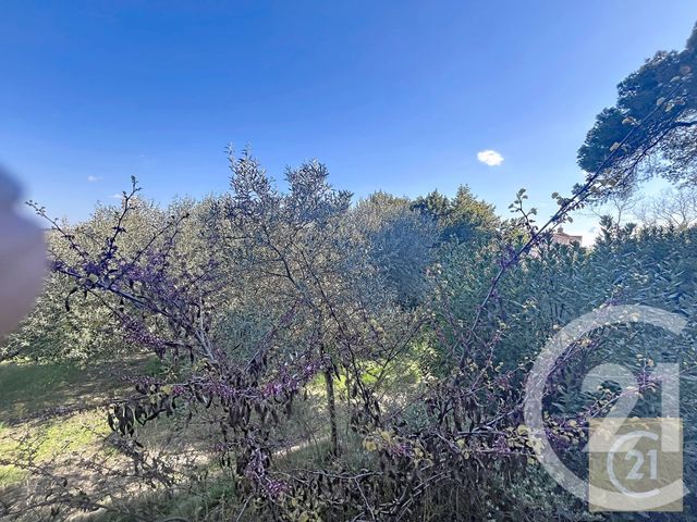 maison à vendre - 4 pièces - 101.0 m2 - MURVIEL LES BEZIERS - 34 - LANGUEDOC-ROUSSILLON - Century 21 Comminges Immobilier