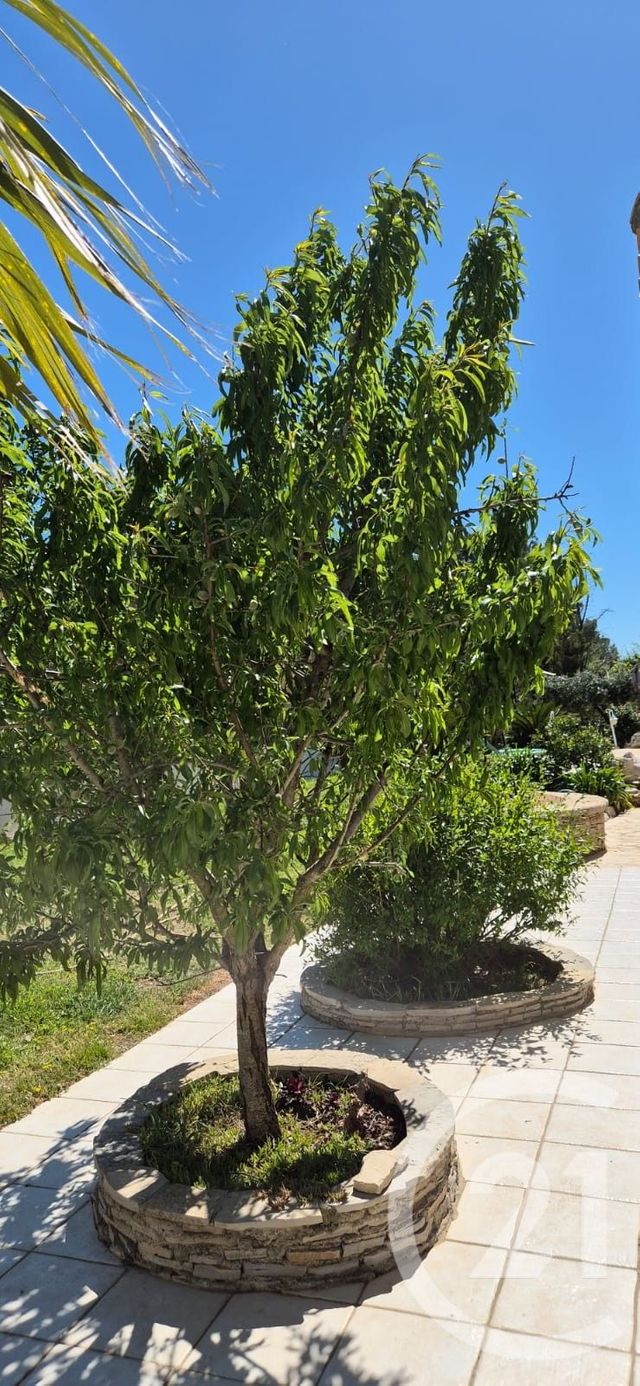 maison à vendre - 6 pièces - 196.0 m2 - BEZIERS - 34 - LANGUEDOC-ROUSSILLON - Century 21 Comminges Immobilier